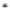 Canopy Aviary Bone China Tea Cup & Saucer Set Cup & Saucer Set