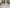 Fine Bone China Solo Afternoon Tea Set - Verdant Garden Teapot and Cup Set